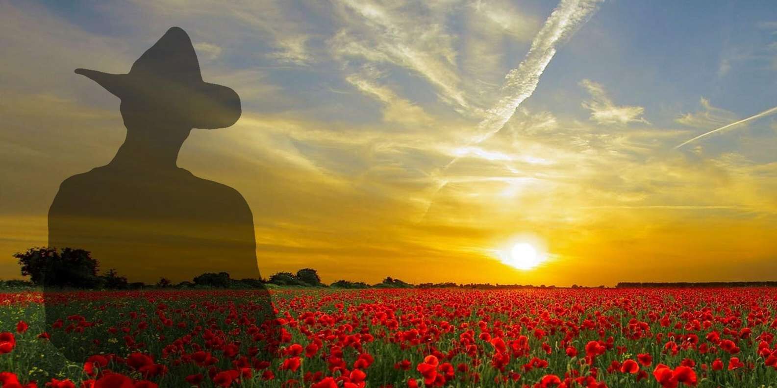 [이스탄불] 갈리폴리 반도 ANZAC 전적지 투어 :: 1차 대전 현장(터키, 튀르키예)