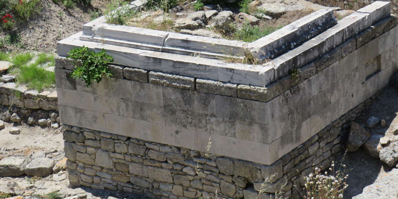 section