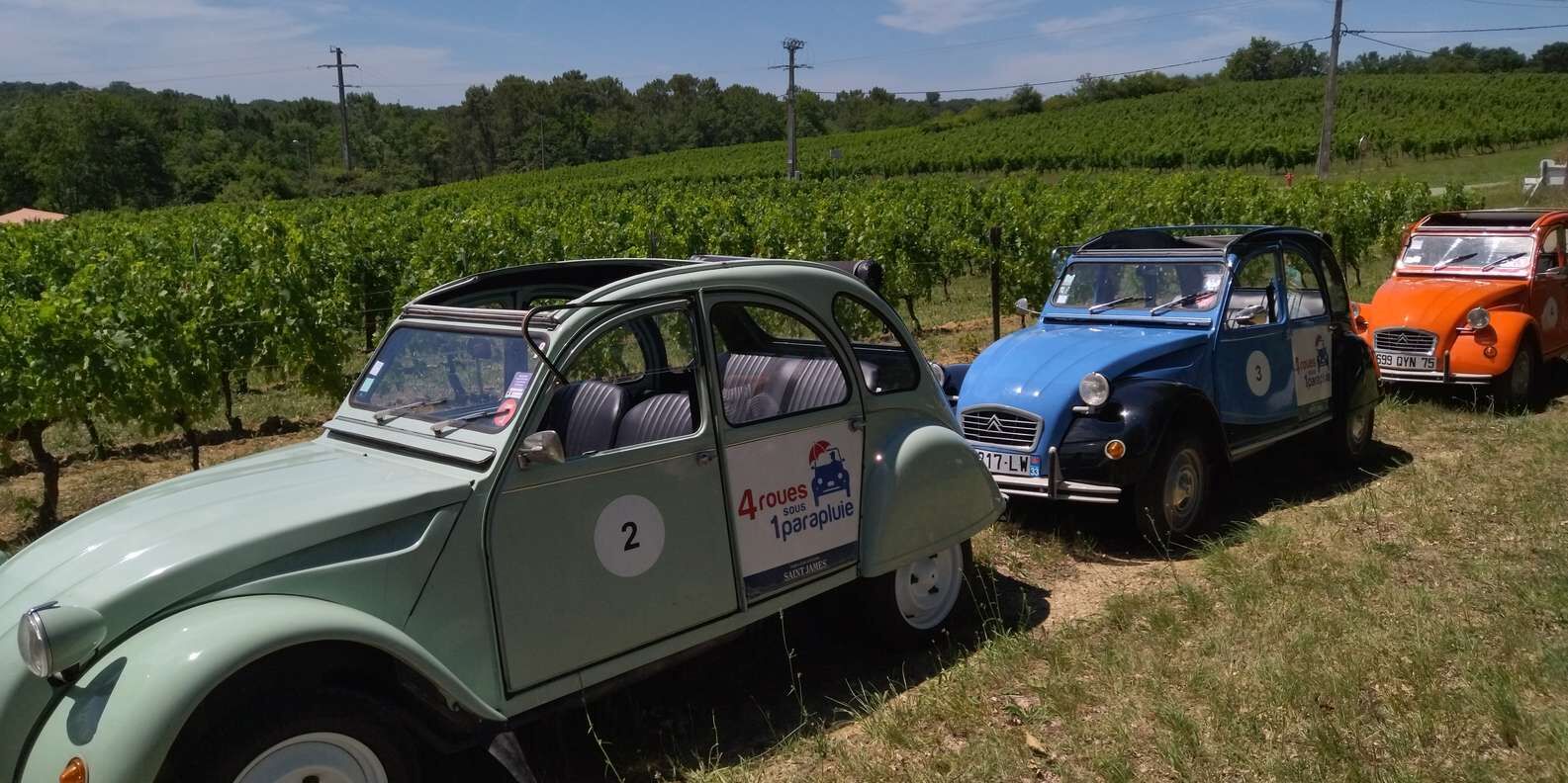 여행 상품 이미지