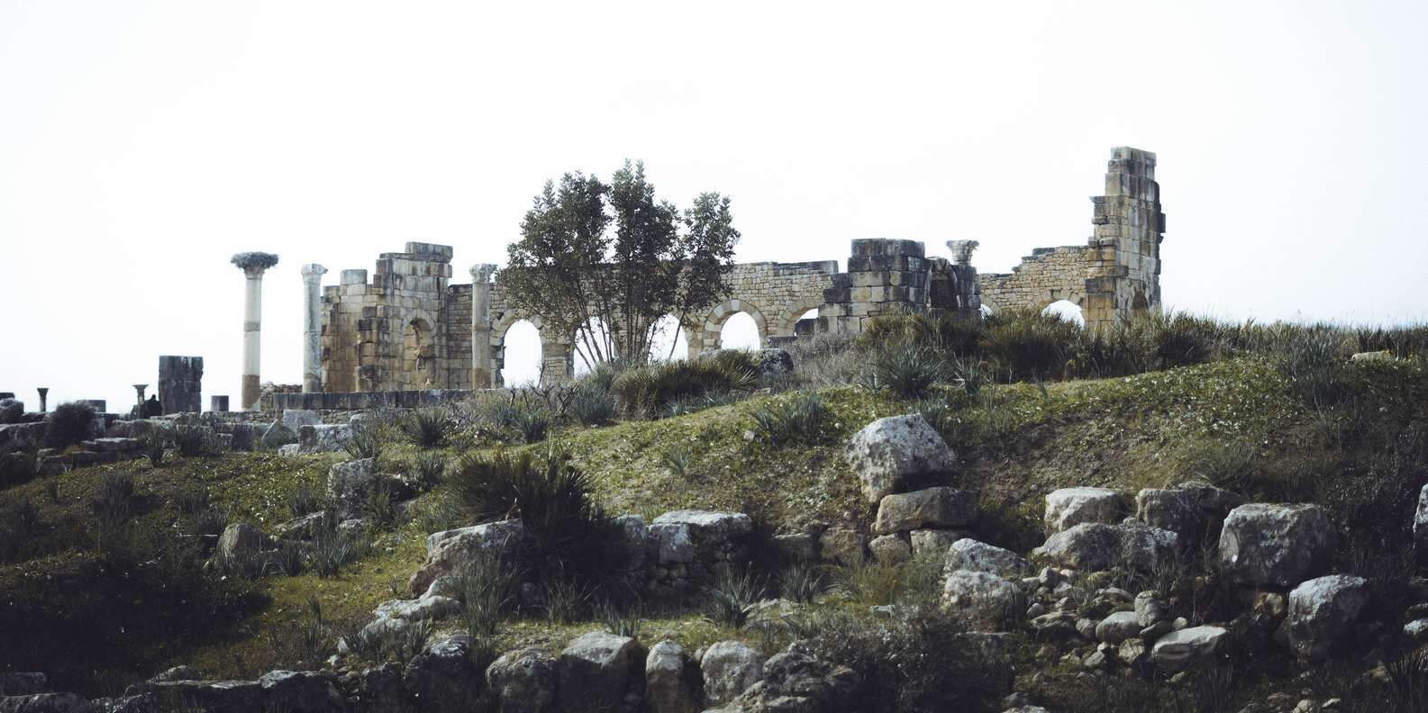 section
