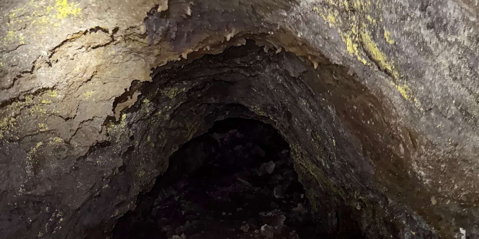 section