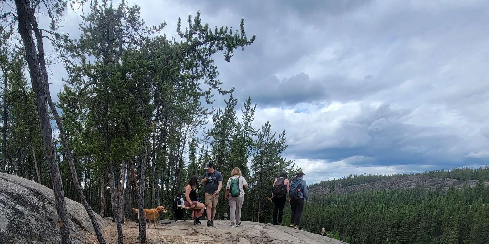 section