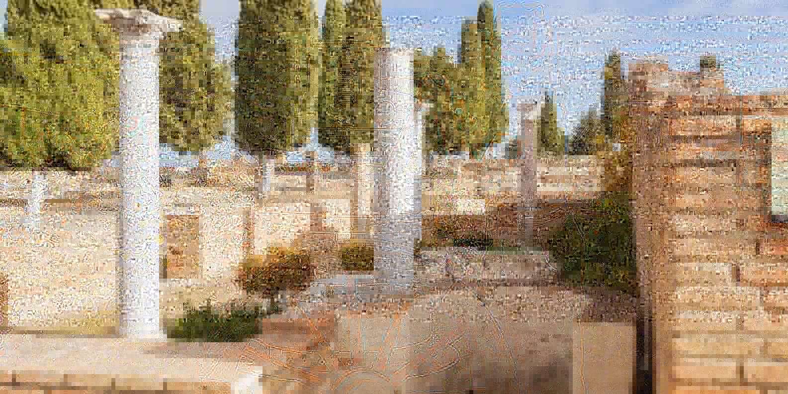 section