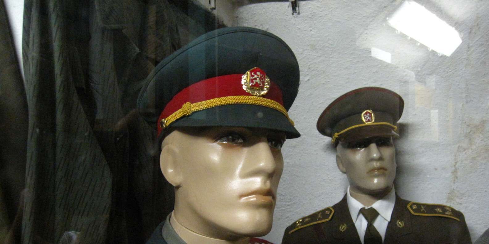 section