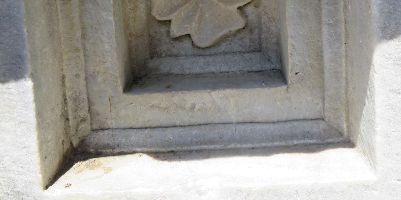 section
