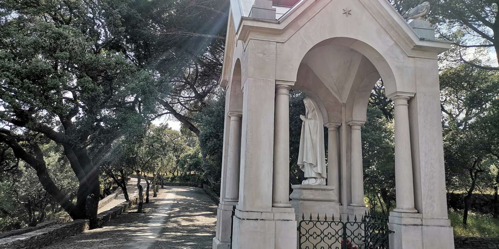 section