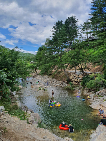 가평 초록빛계곡 애견동반펜션