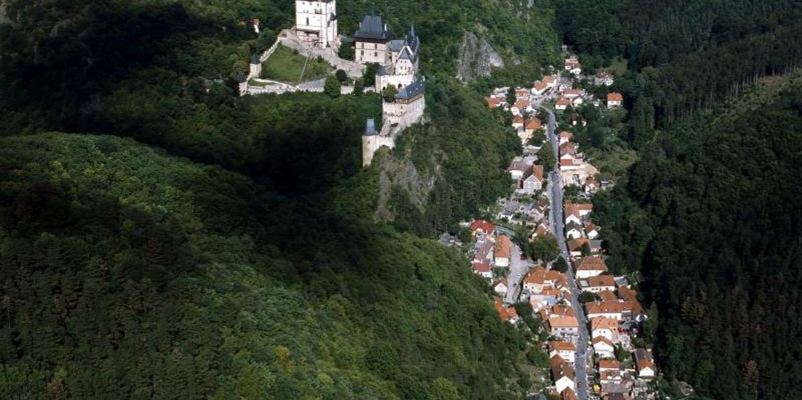 section