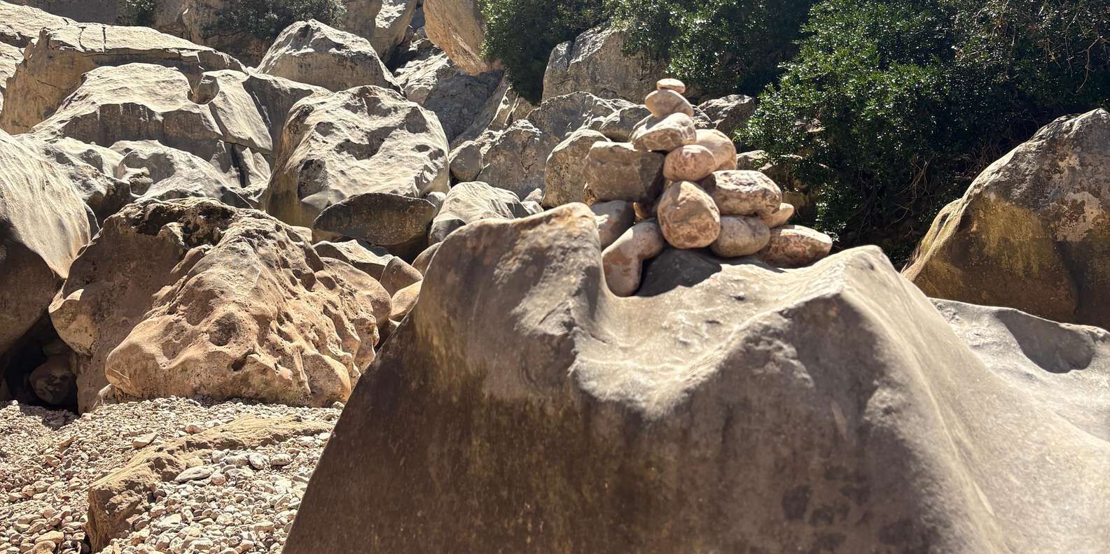 section