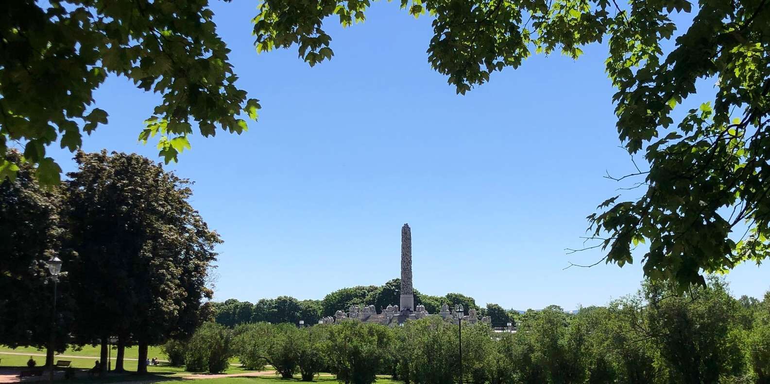 section