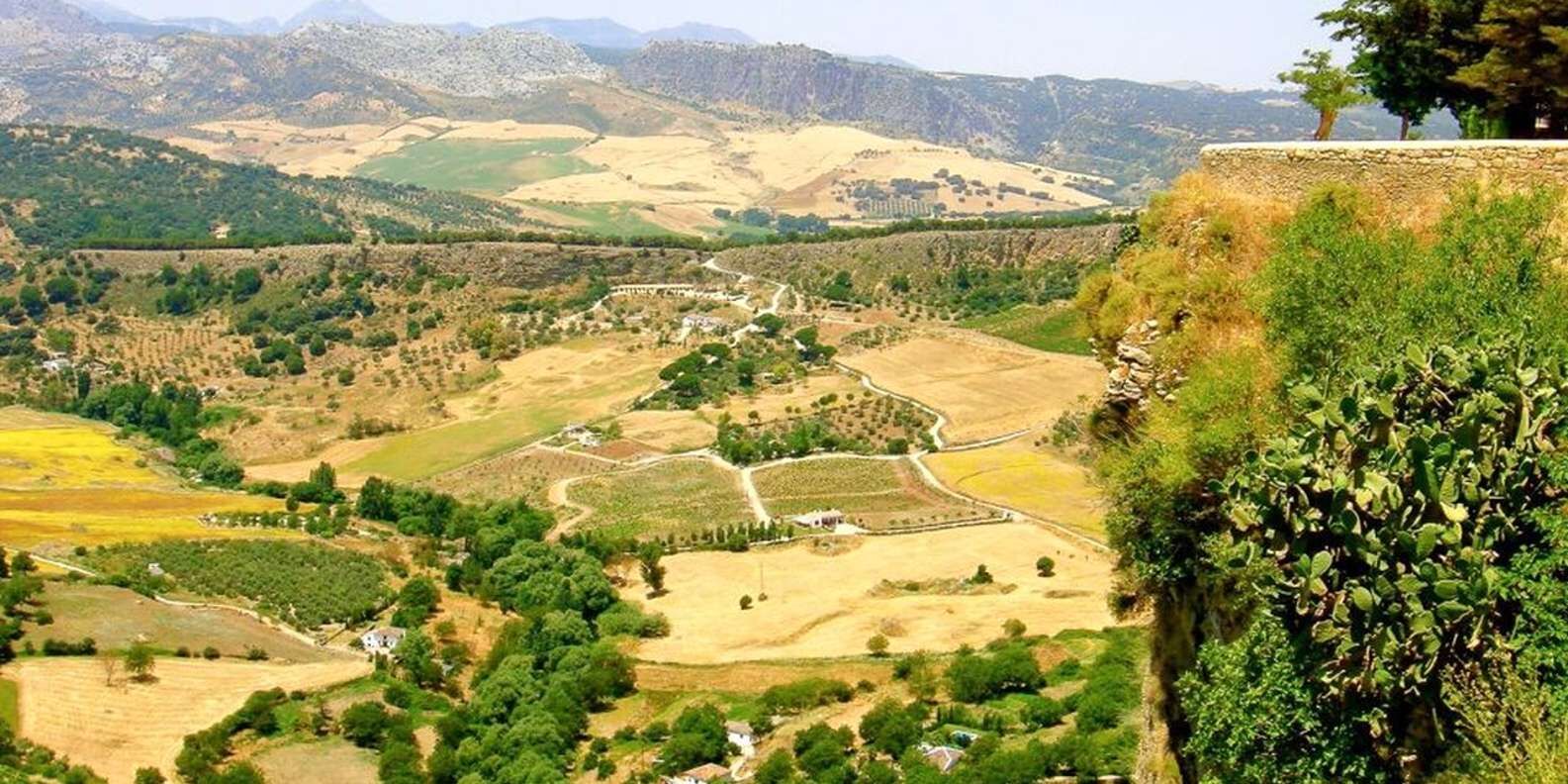 section