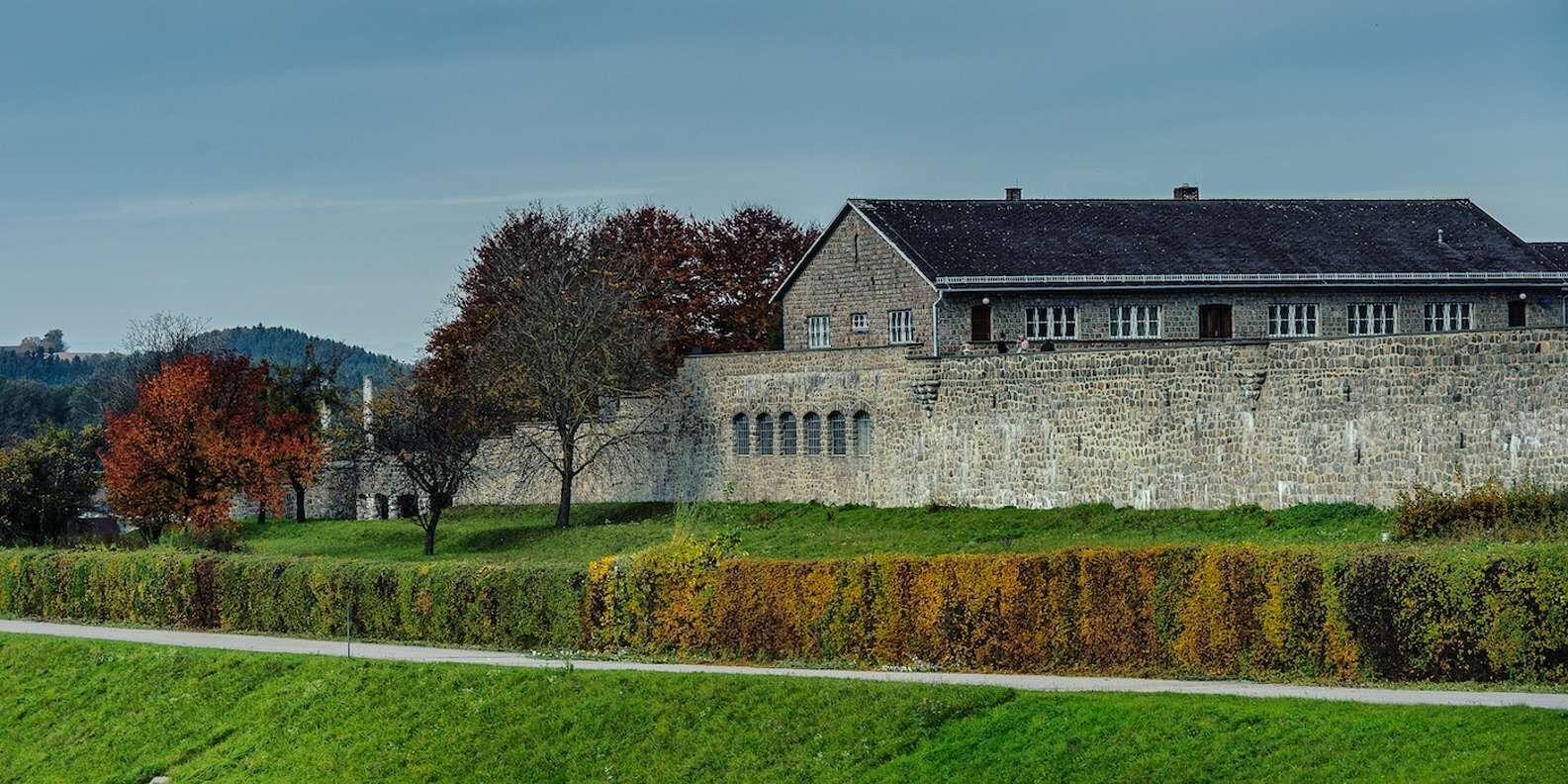 section
