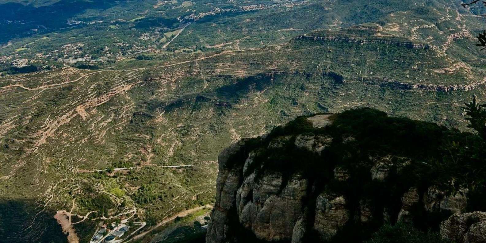 section
