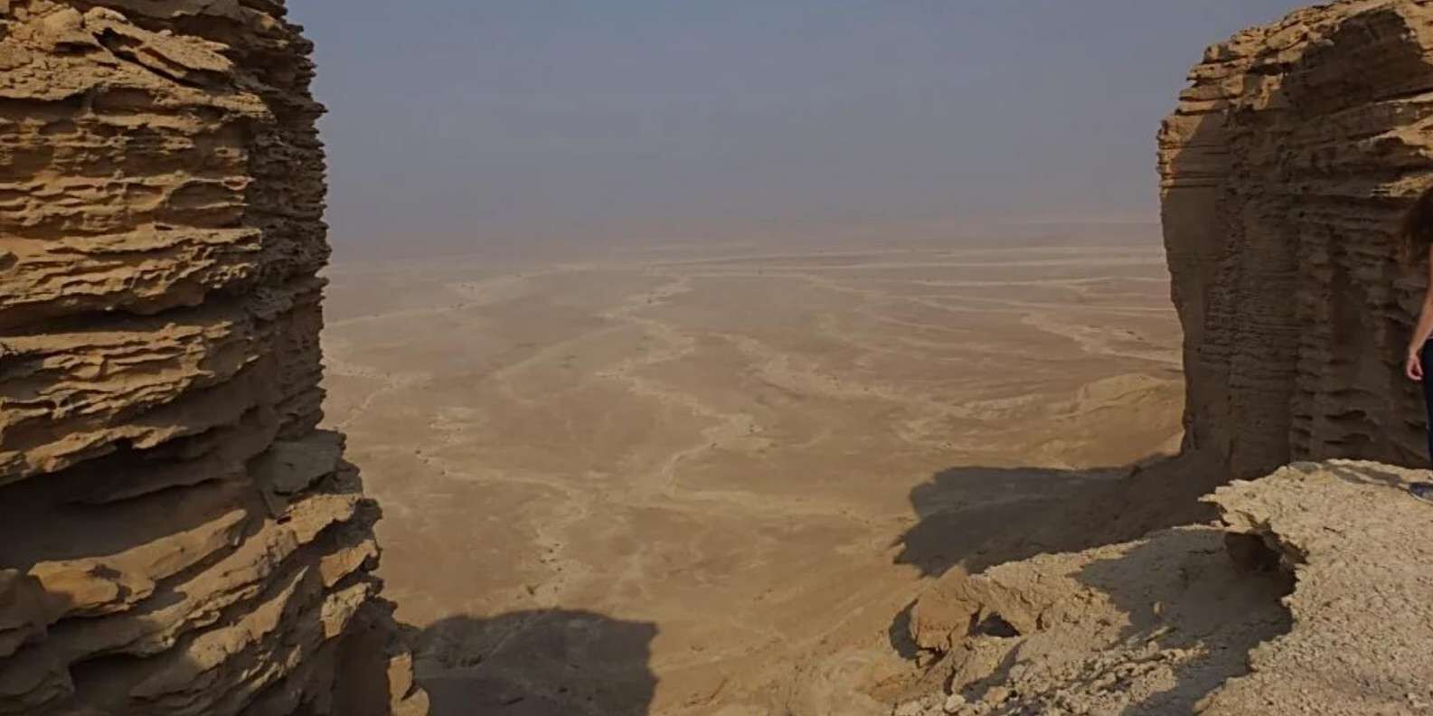 section