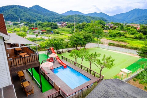 가평 퍼니멍멍장미애견점