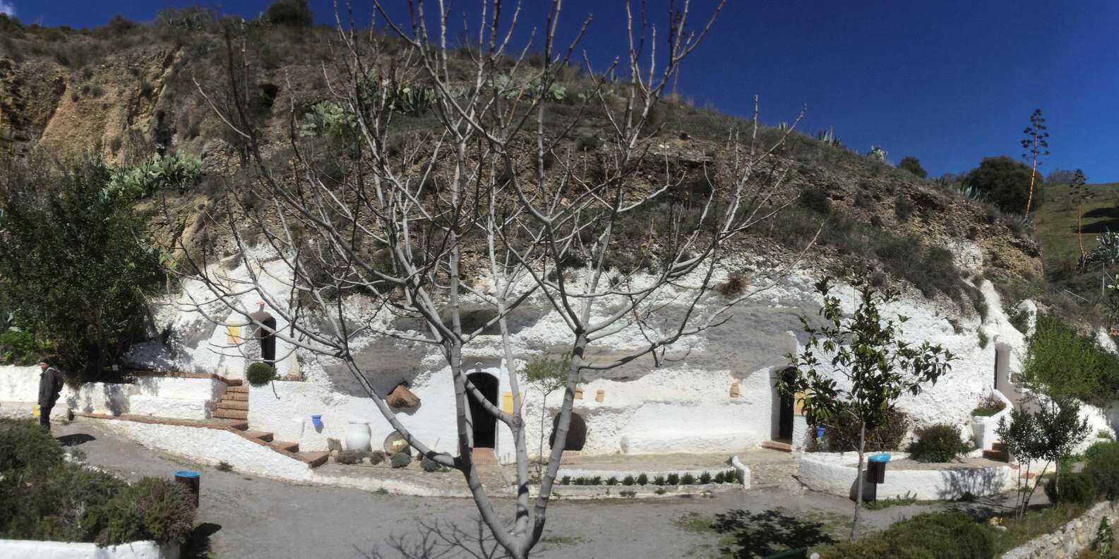 section