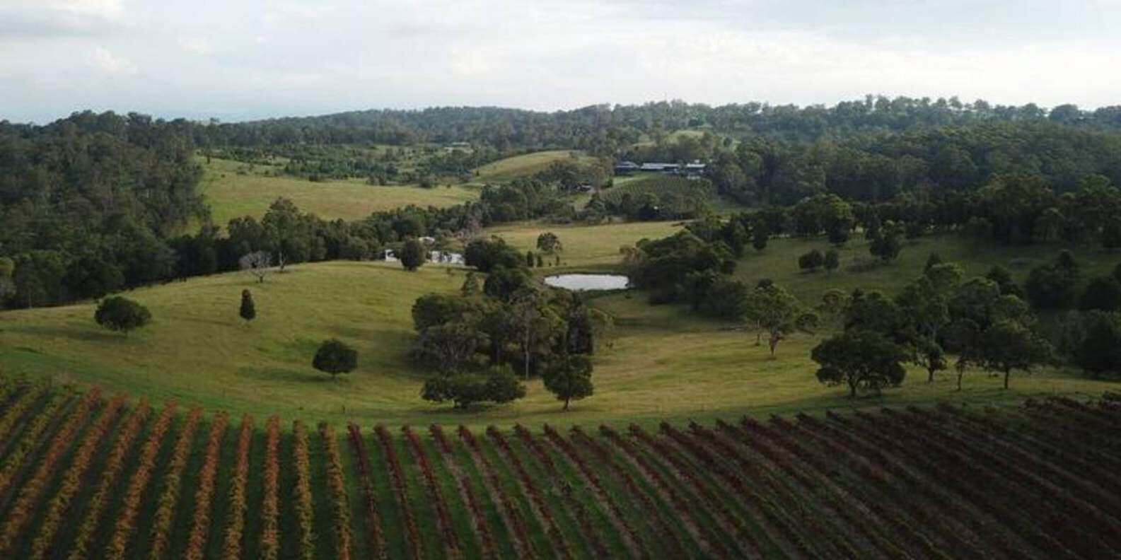 section