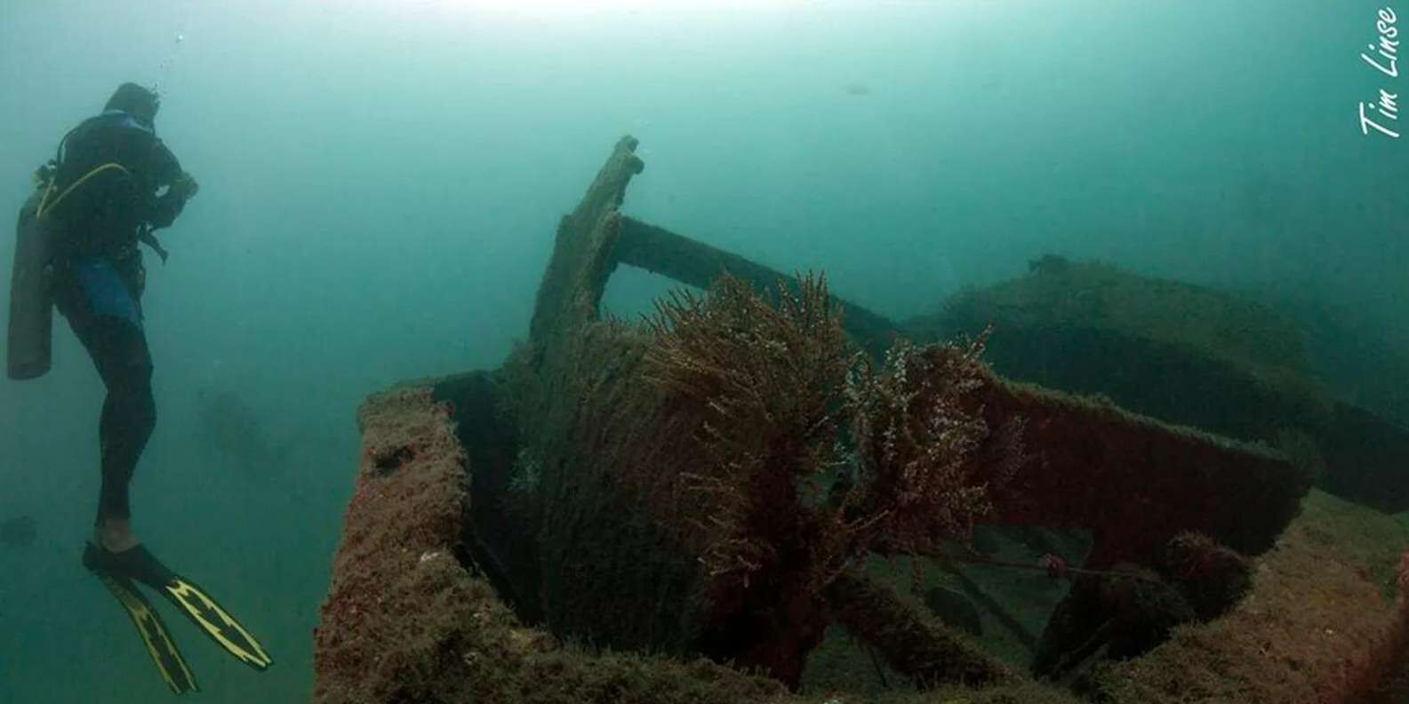 section