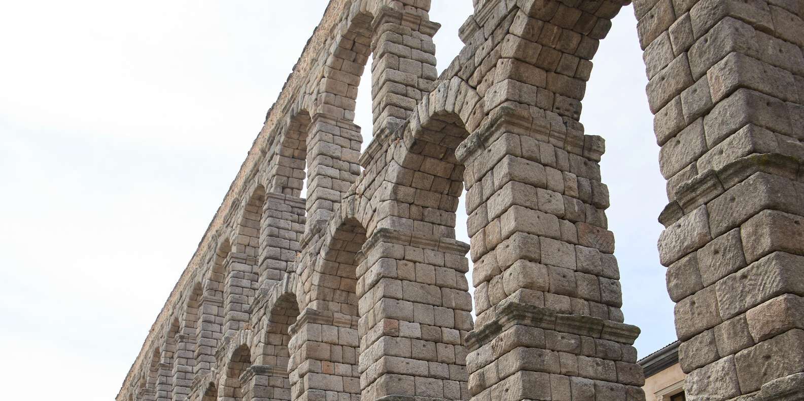 section