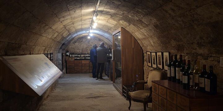 [보르도] 와인 및 무역 박물관 입장 + 현지 와인 2종 시음-i
