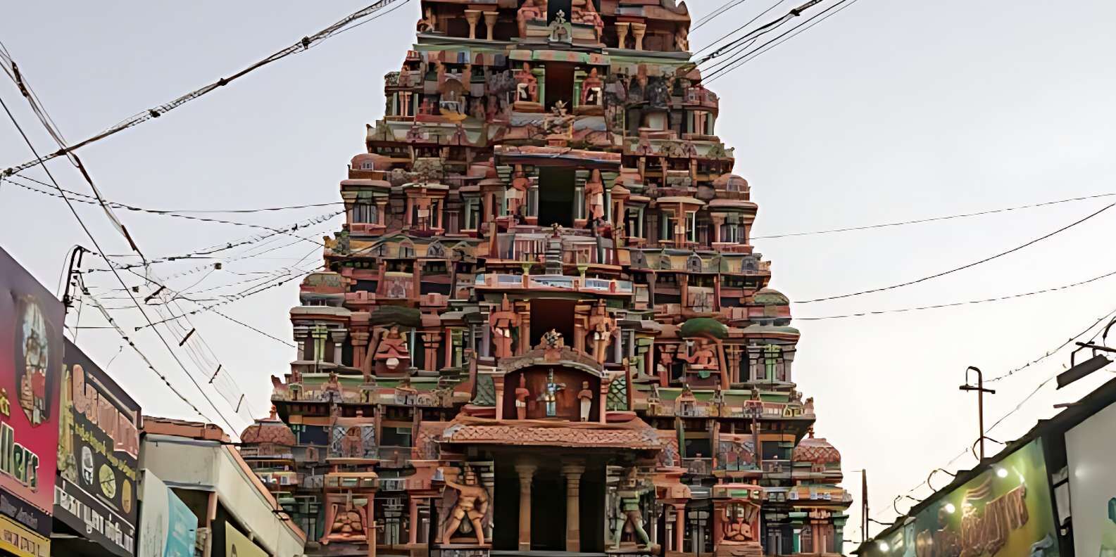 section