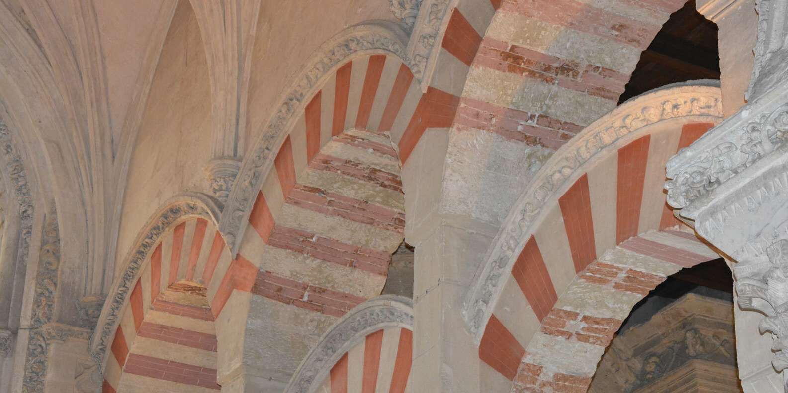 section