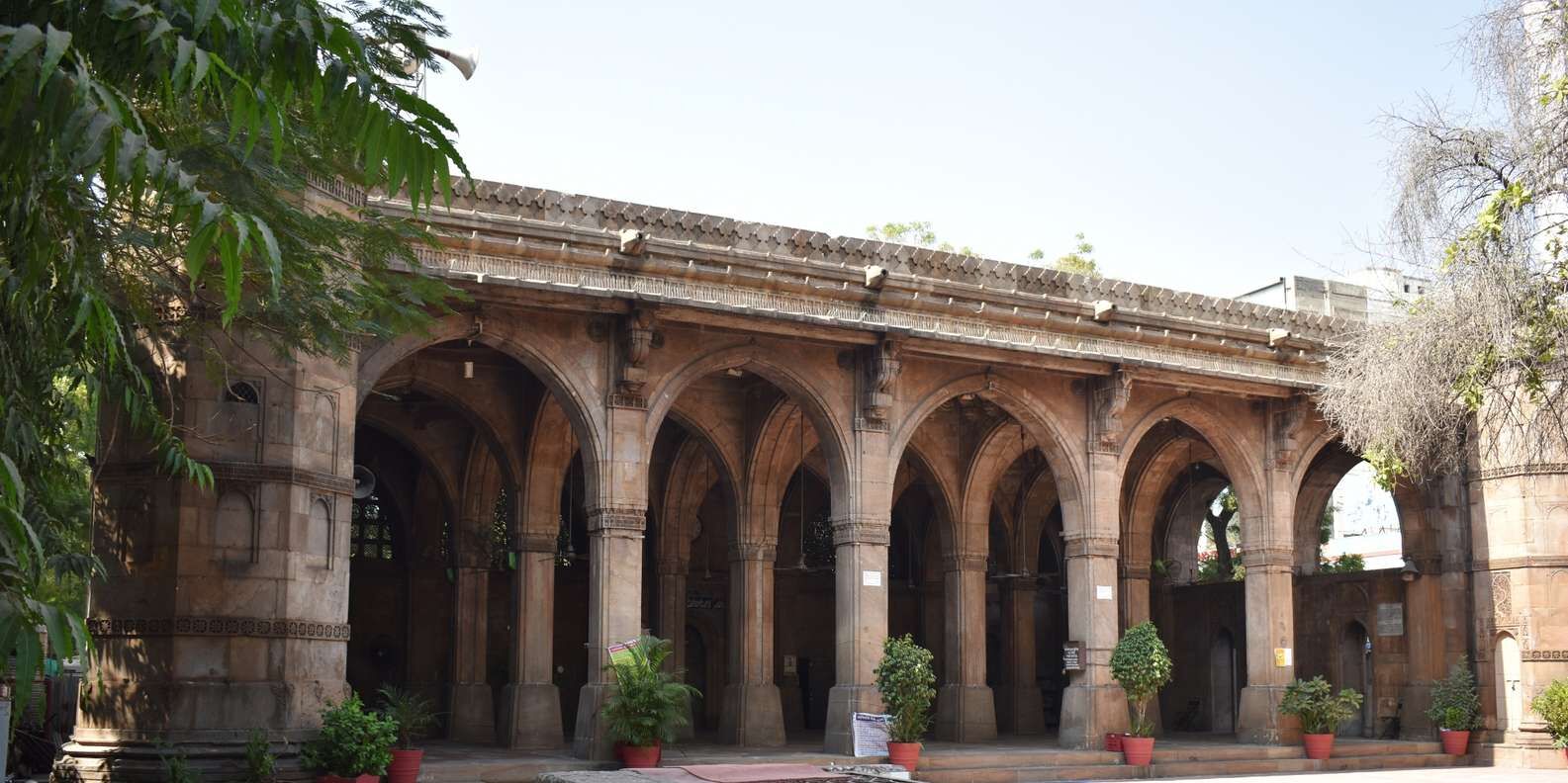 section