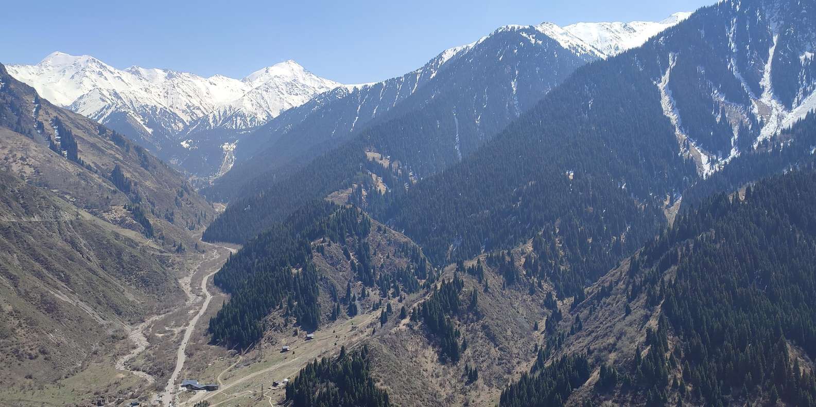section