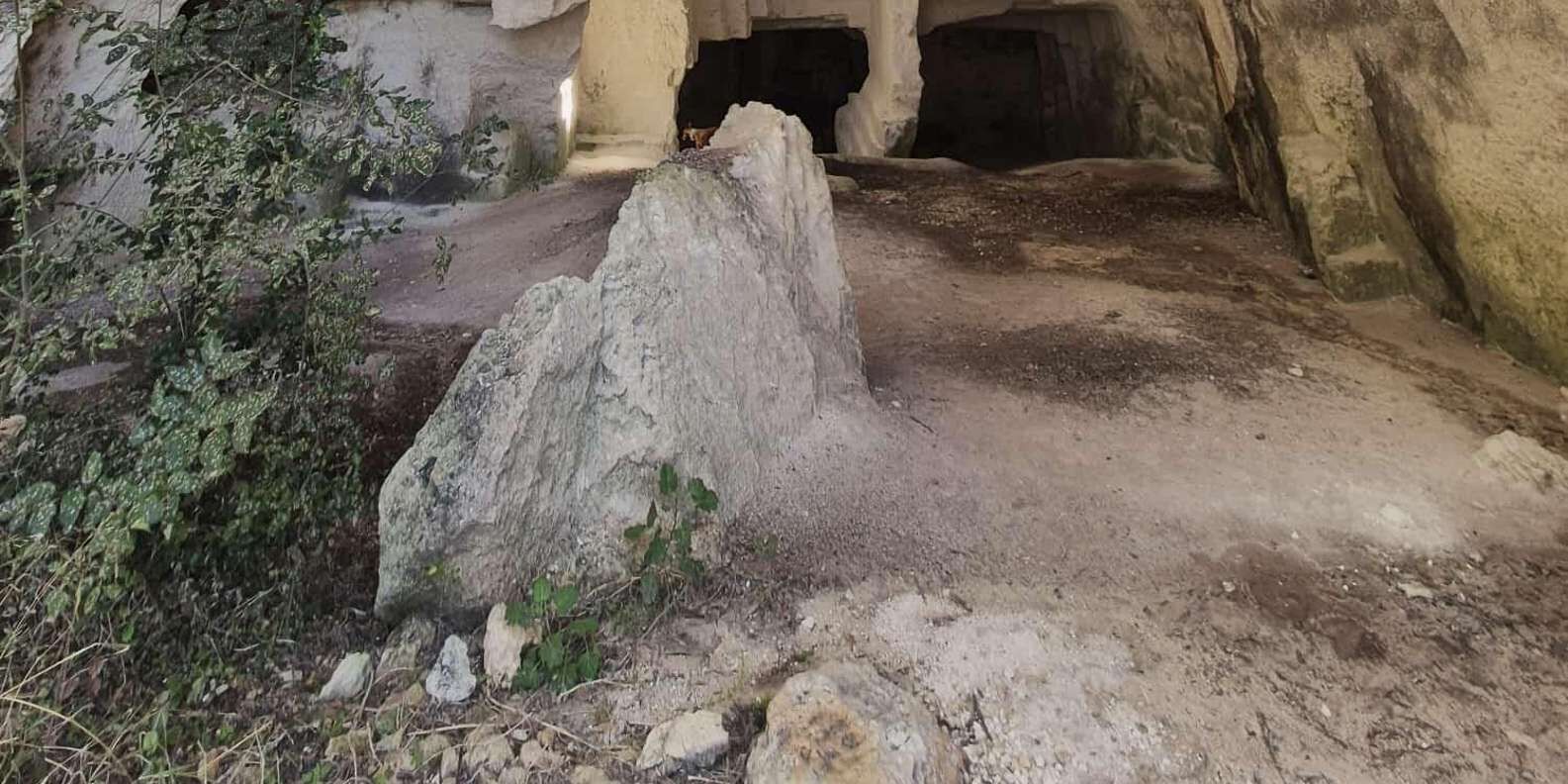 section