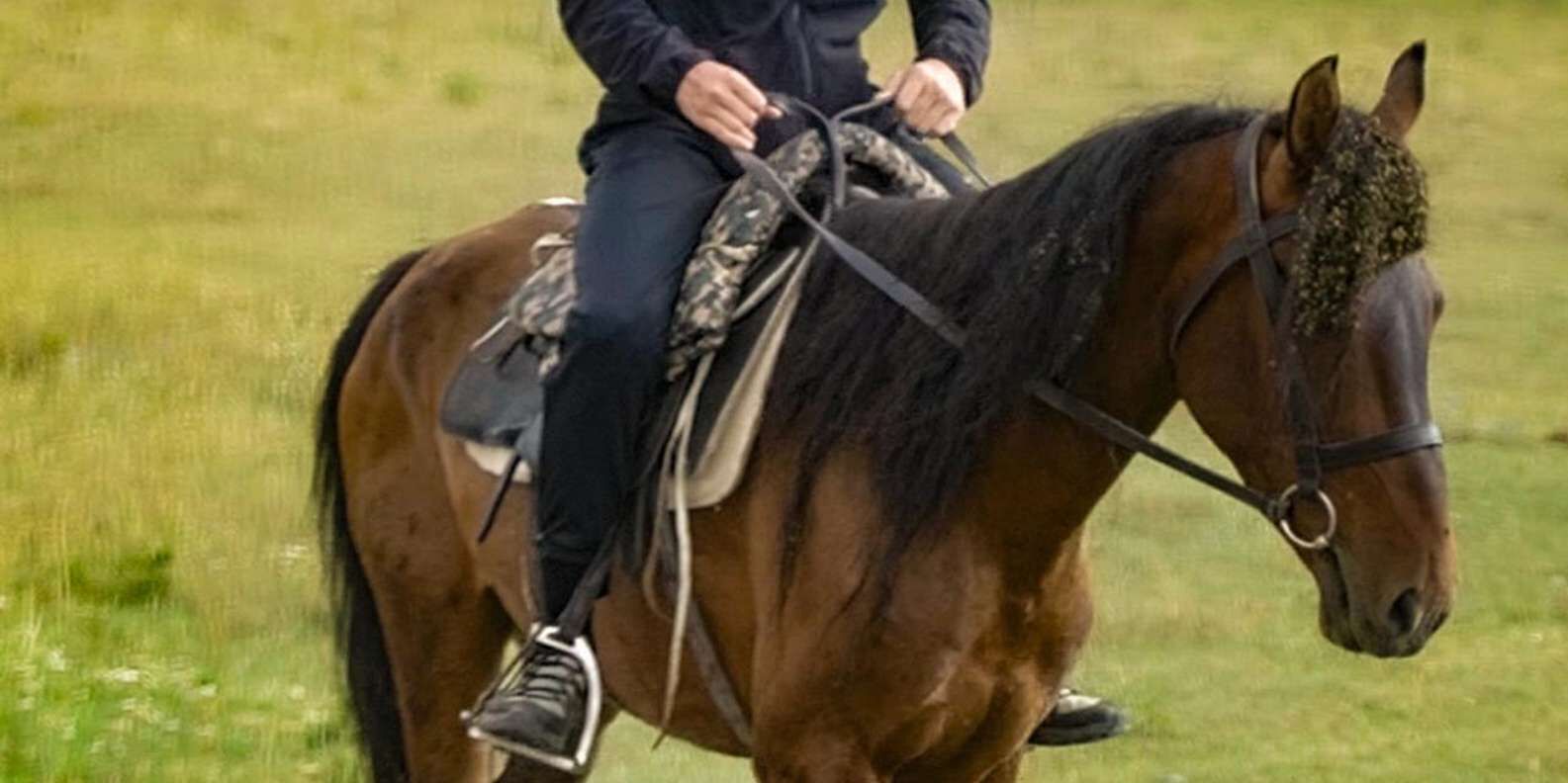 hero