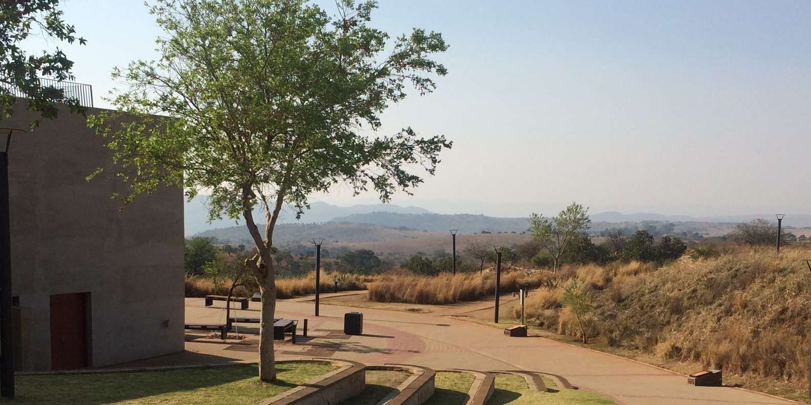 section