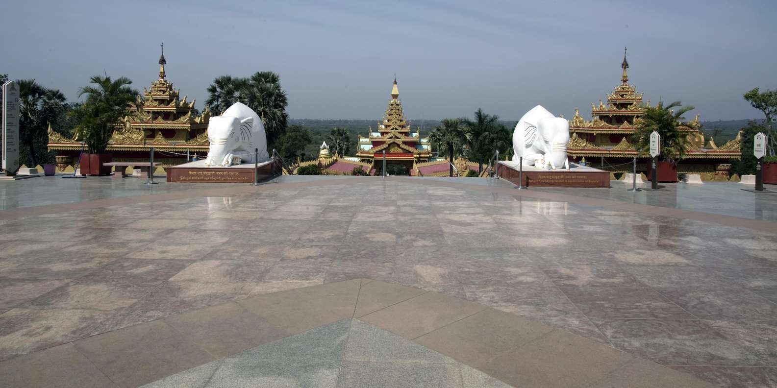 section