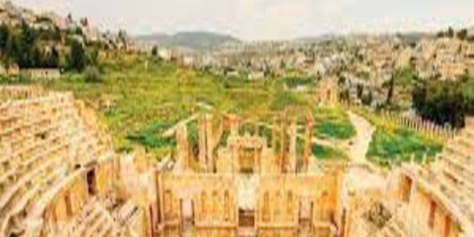 section