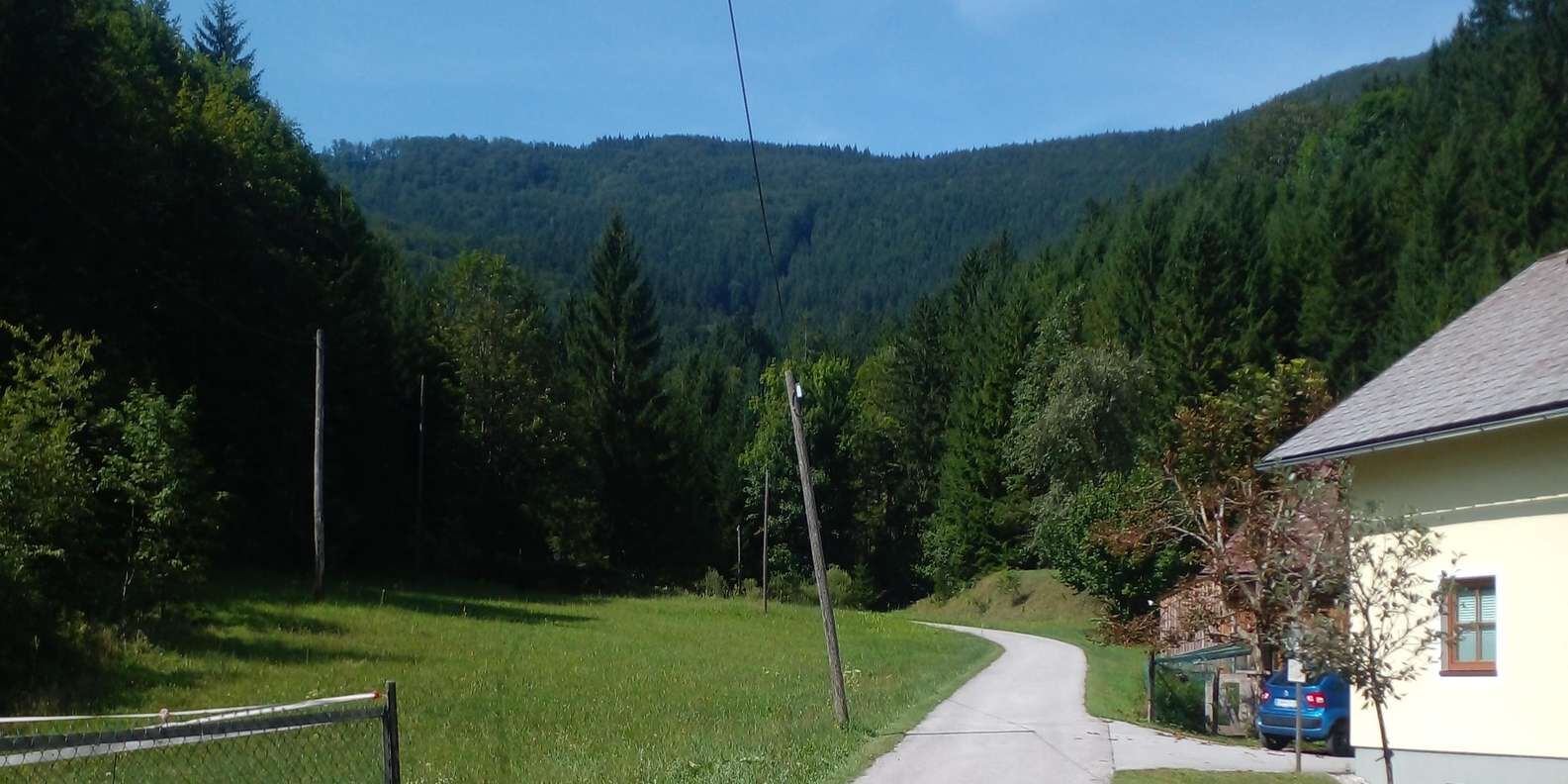 section