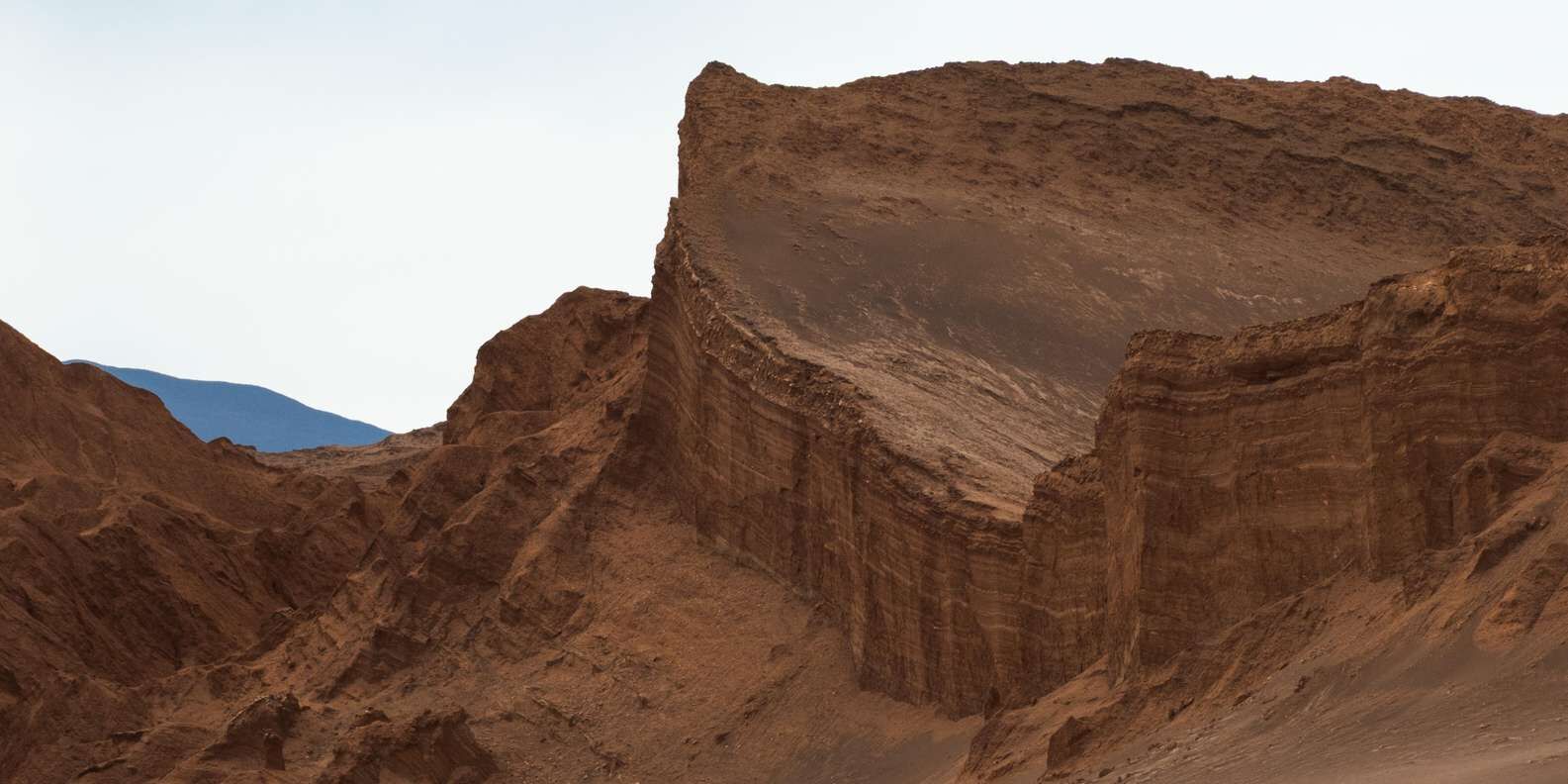 section