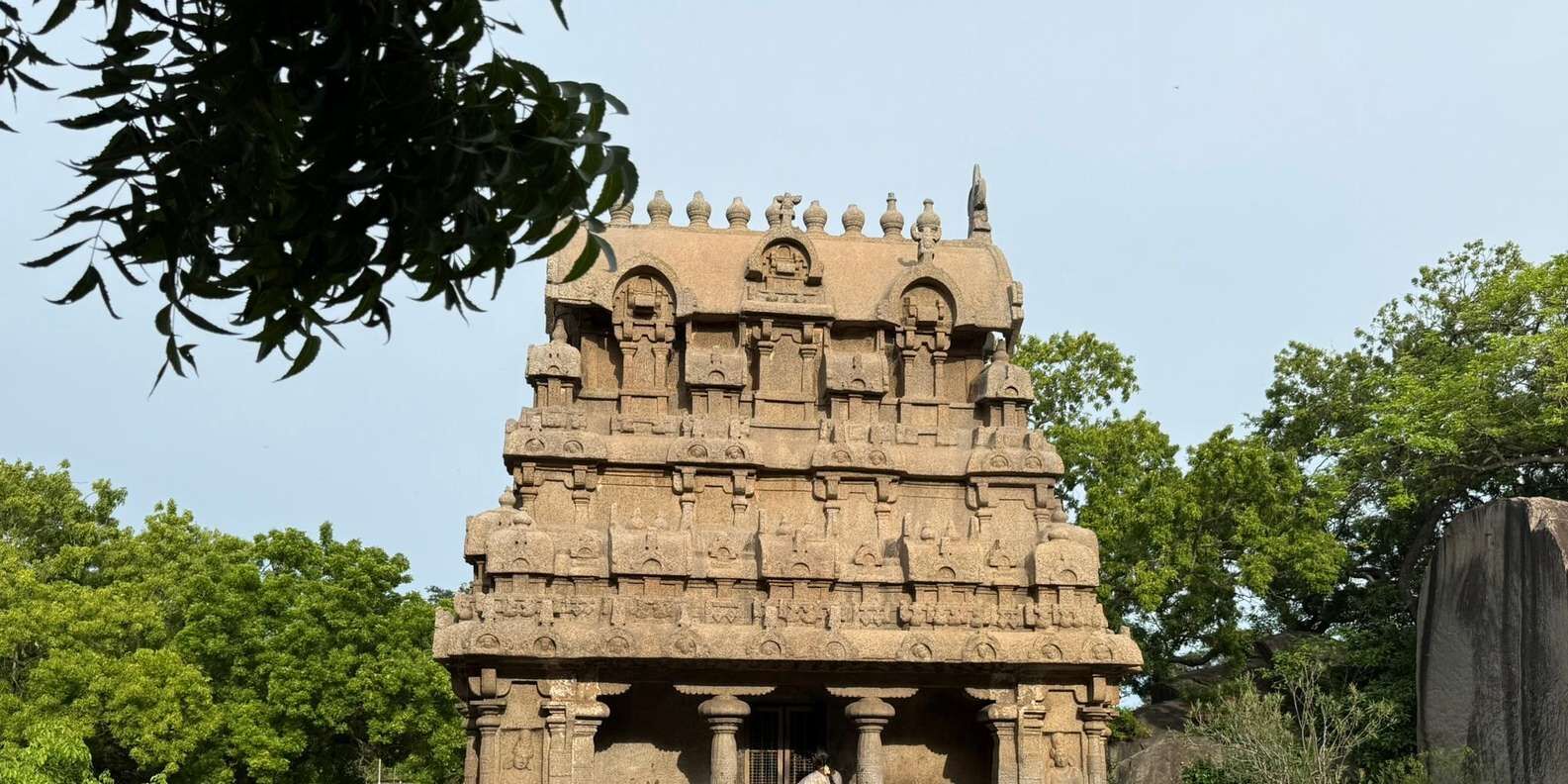 section