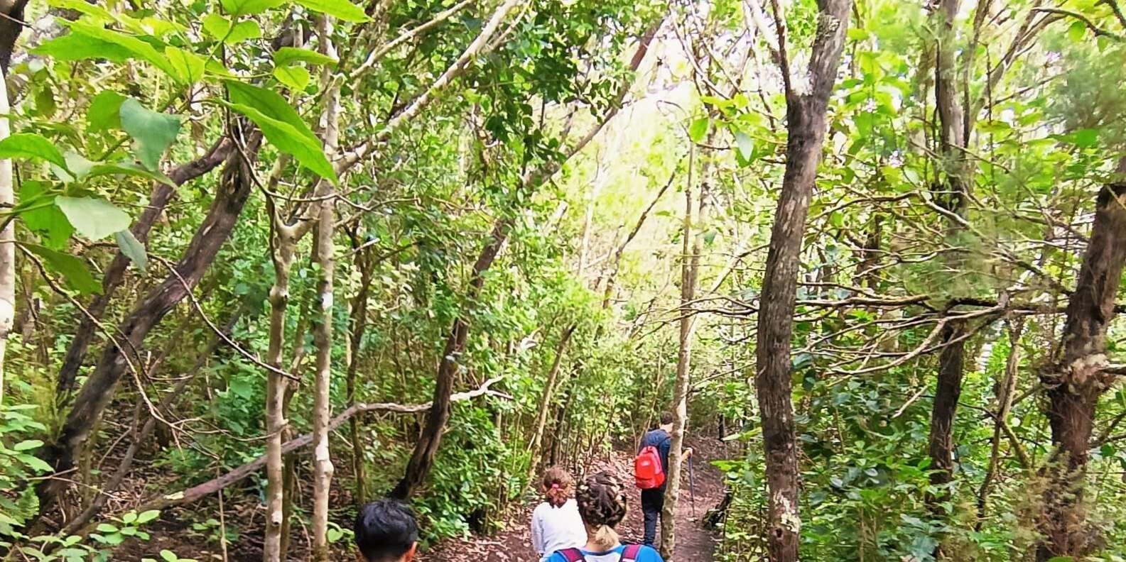 section