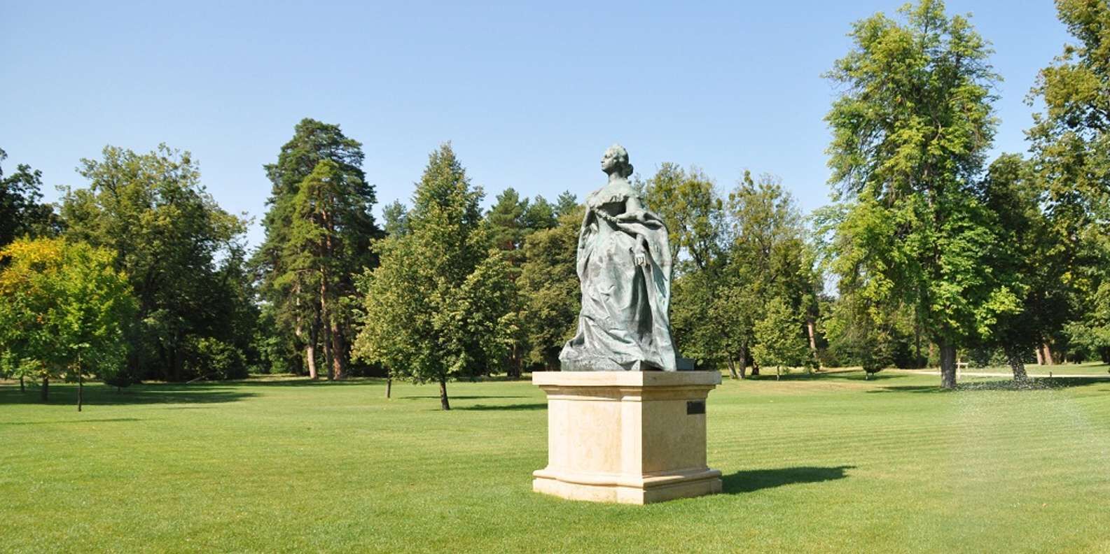 section