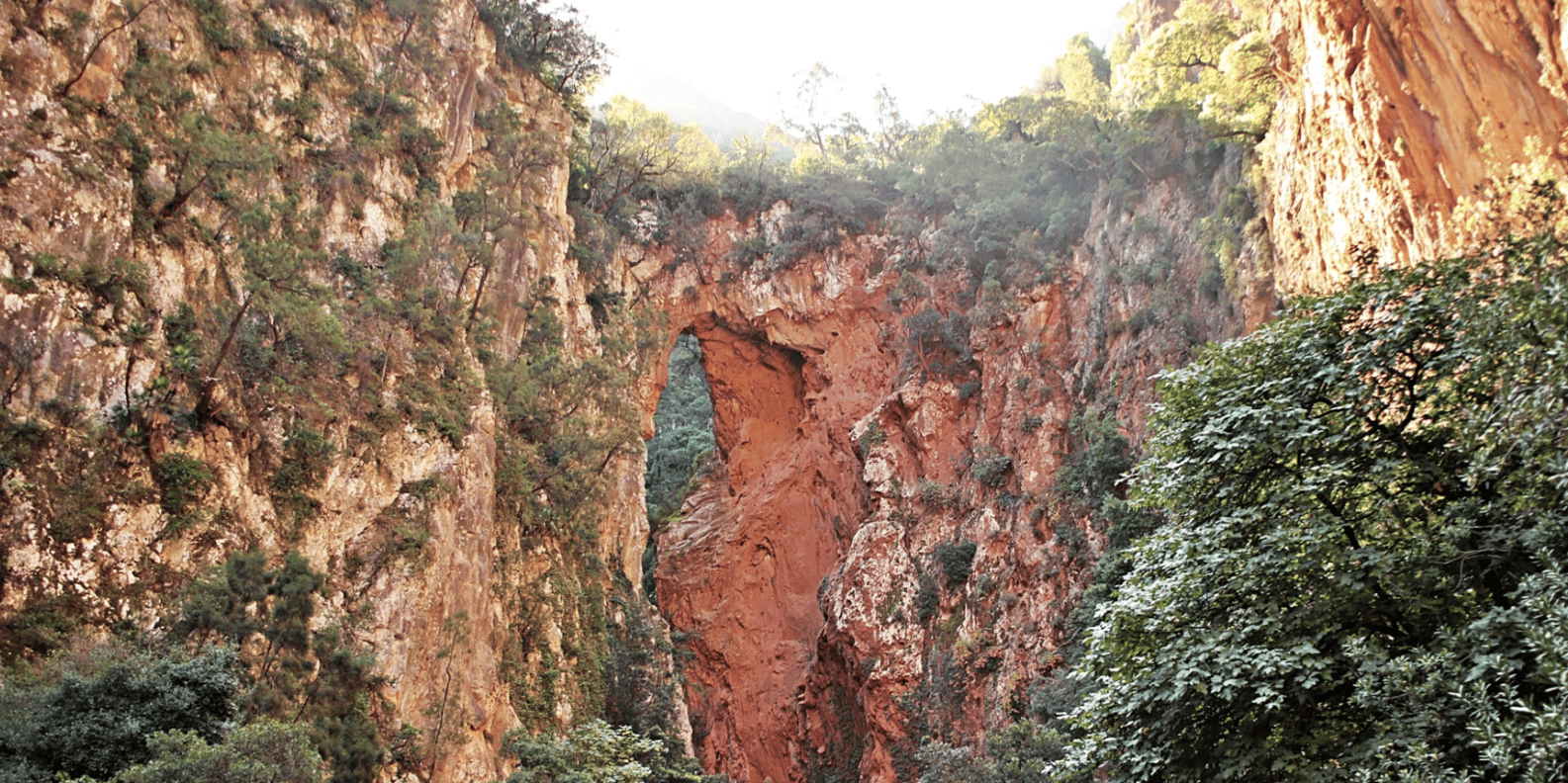 section