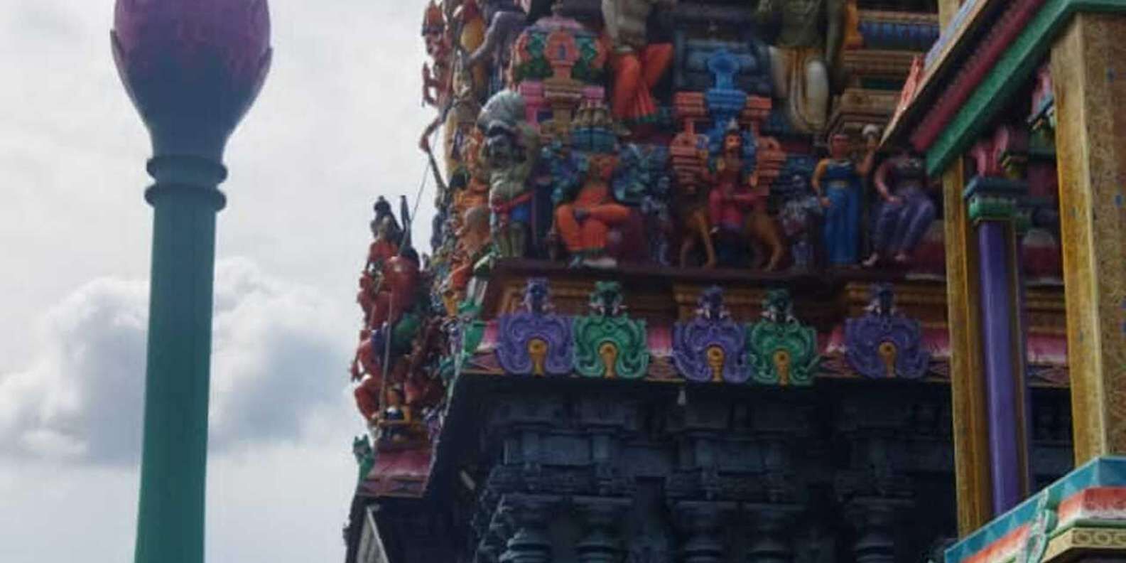 section