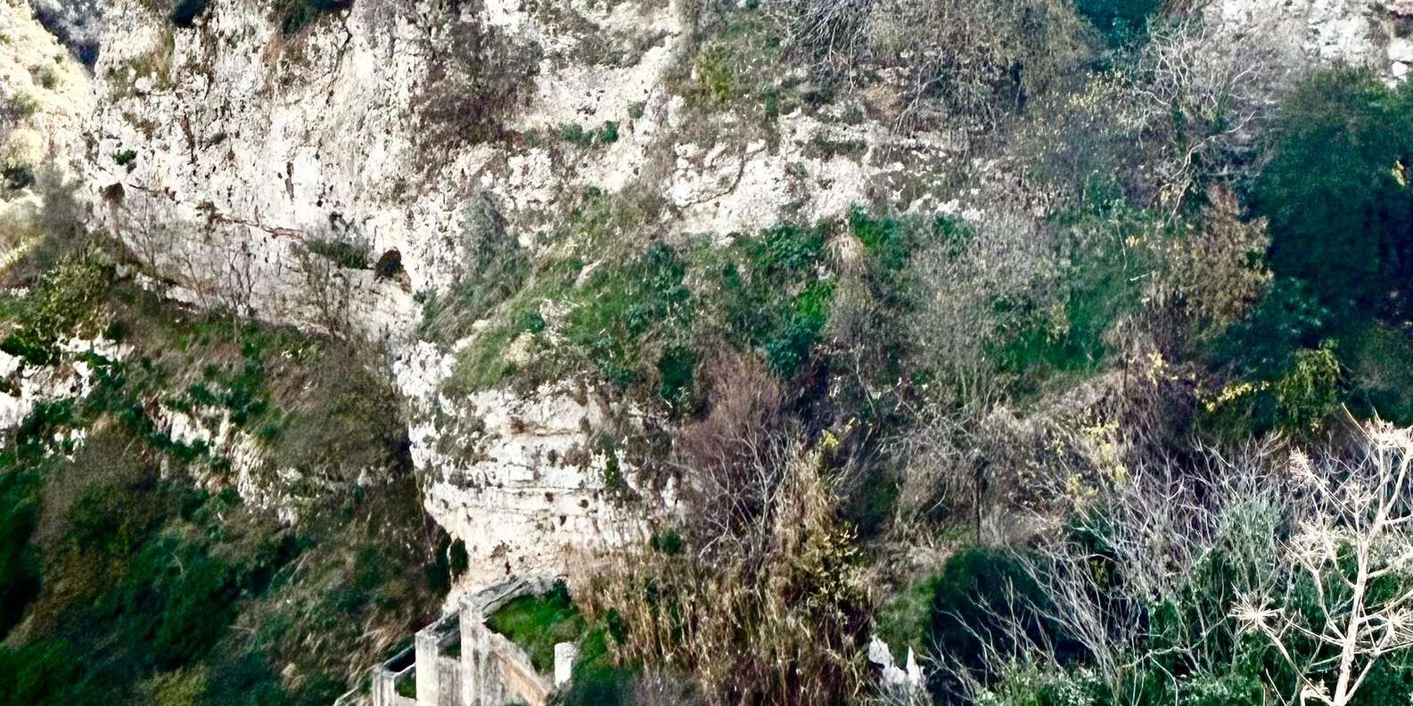 section