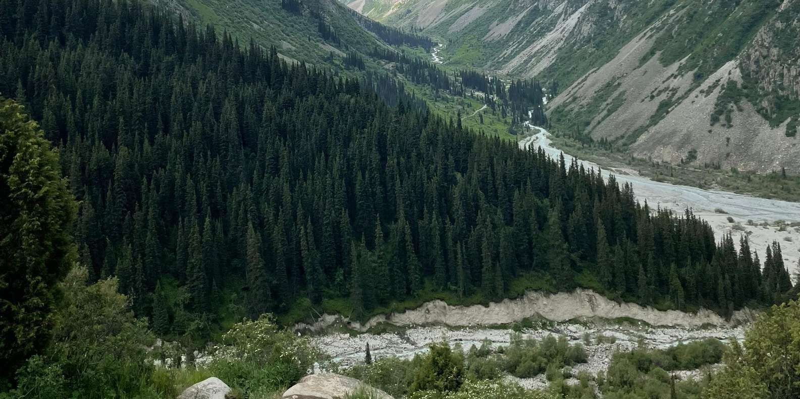 section