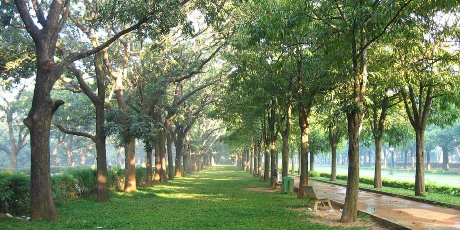 section