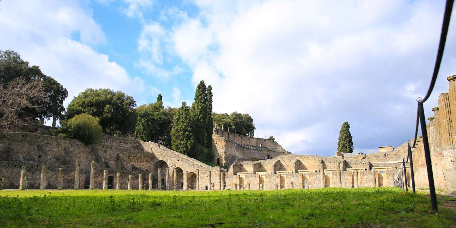 section