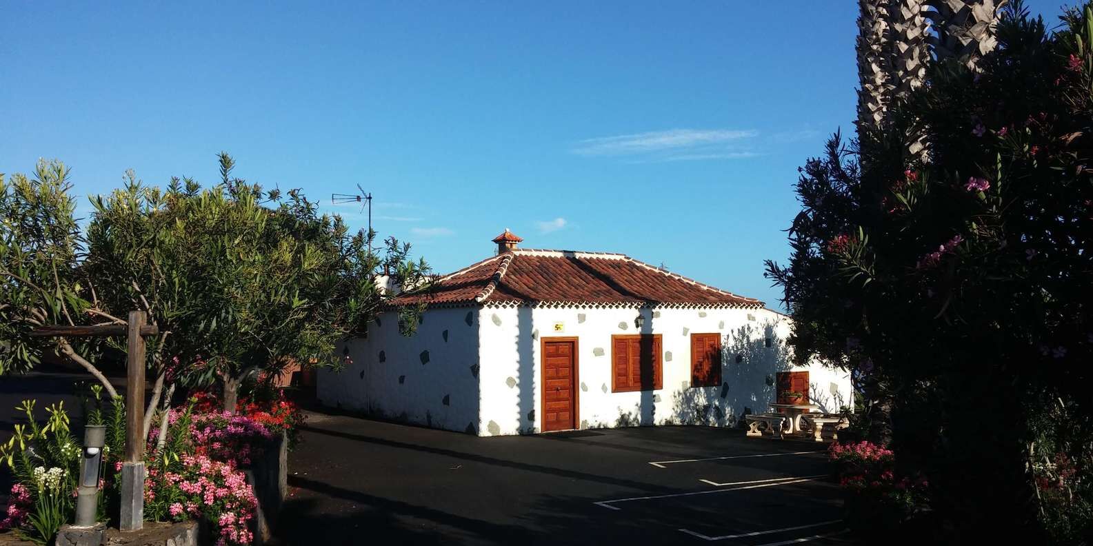 section
