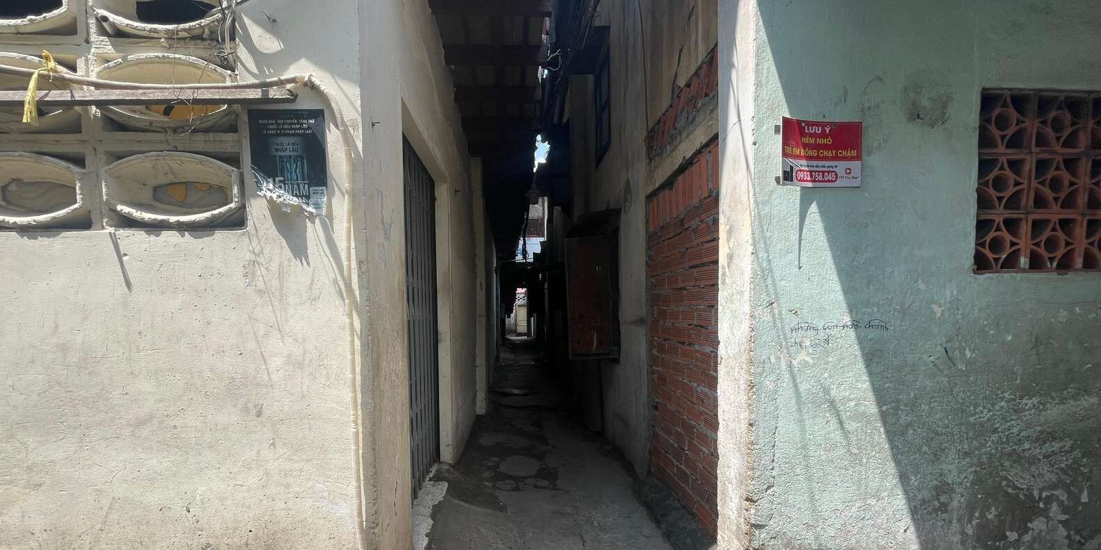 section