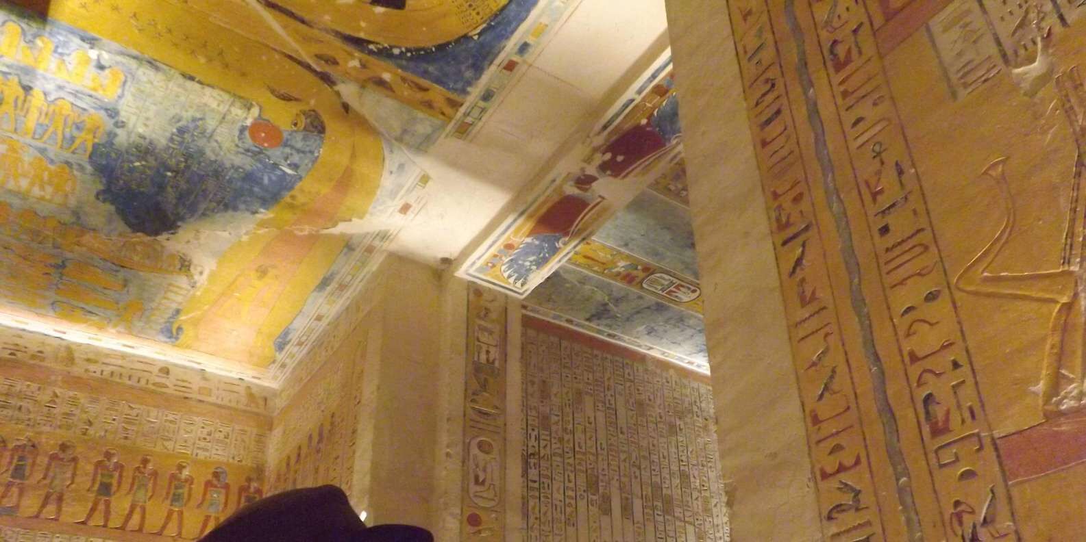 section