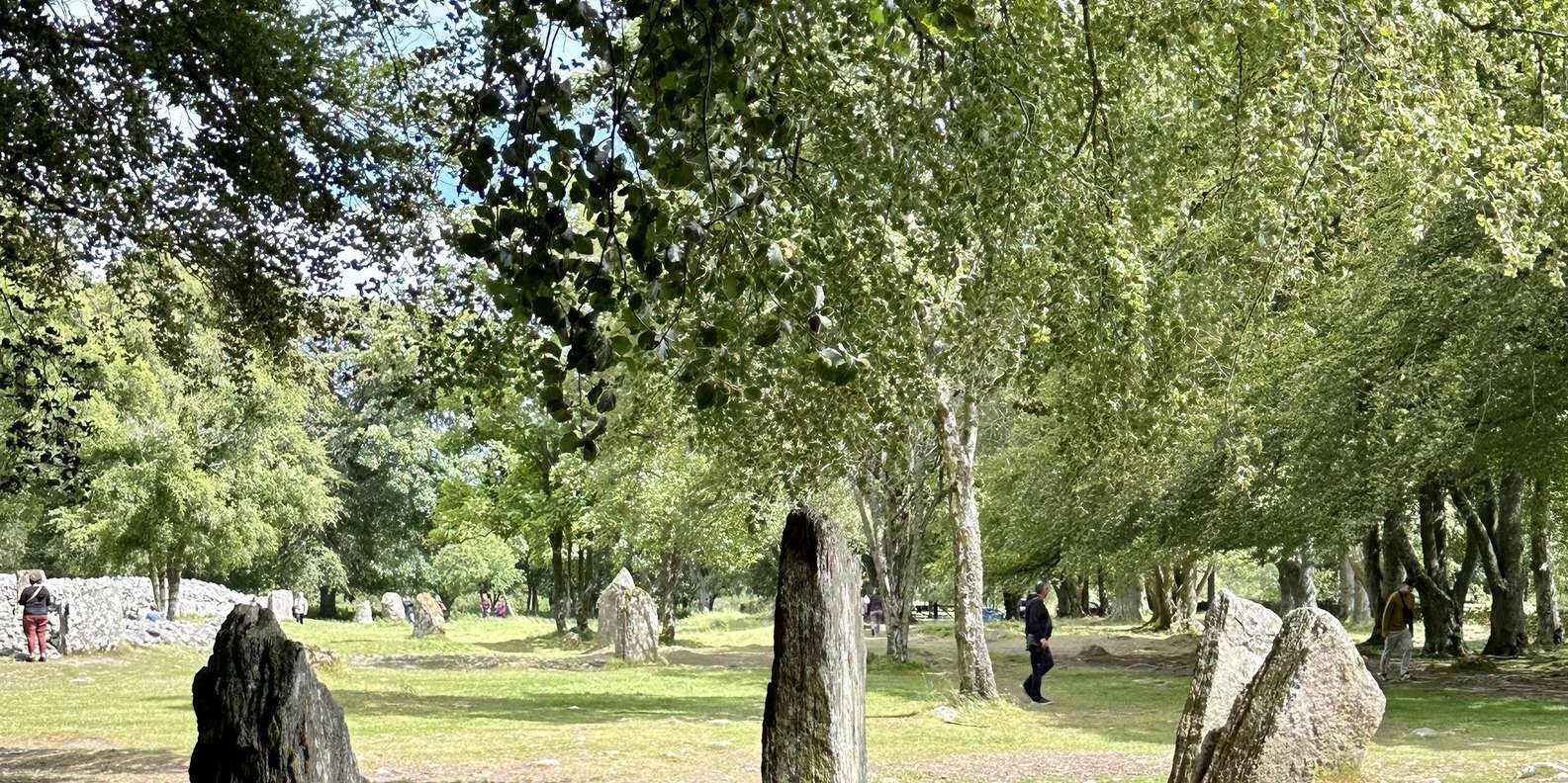section