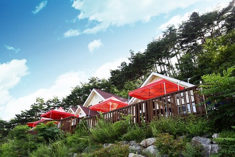 영월 동강캐슬펜션