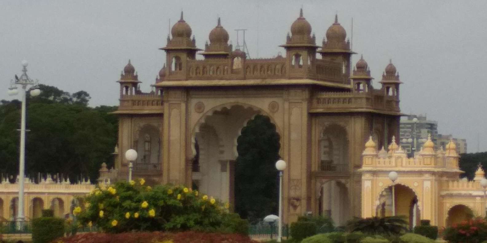 section